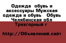 Одежда, обувь и аксессуары Мужская одежда и обувь - Обувь. Челябинская обл.,Трехгорный г.